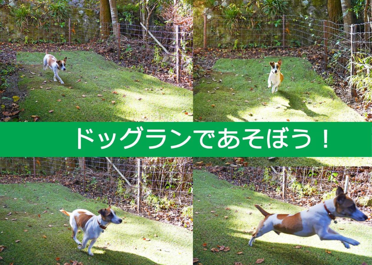 Villa Liberte Hakone Gora Kültér fotó
